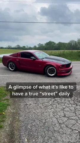 ___________________________________#CapCut #6sixtystreet #6sixtystreets #mustang #mustanggt #3v #660 #660racing #motionraceworks #fordracing #kennebell #nitrousoutlet #nitrousexspress #scramblebutton #alltheboost #mickeythompsontires #10speedmustang #weldracing #5ohcoyote #coyotemustang #CapCut #camaro 