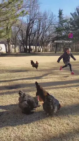 Good Rooster 🐓 • • • • • • • • • (Click the link in our bio to submit your video) • • • • • • • • • #fy #foryou #fyp #foryoupage #viralvideo #viral #video #rooster #cockadoodledoo  • • • • • • • • • Submission: jasonzielke