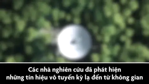 Có thể tồn tại nền văn minh loại 2 cách Trái Đất 90 năm ánh sáng - Giáo dục: Các nhà khoa học phát hiện sóng vô tuyến kỳ lạ đến từ không gian và họ đoán rằng đó là tín hiệu phát ra từ nền văn minh đến từ ngôi sao HD 164595, cách Trái Đất 90 năm ánh sáng. #khampha #bian #nenvanminh #nhanloai #traidat #nguoingoaihanhtinh #tinhieuvutru
