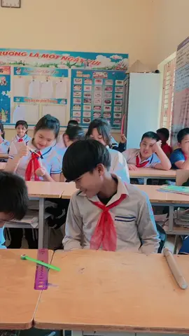 Dám mang chim đi học 😡