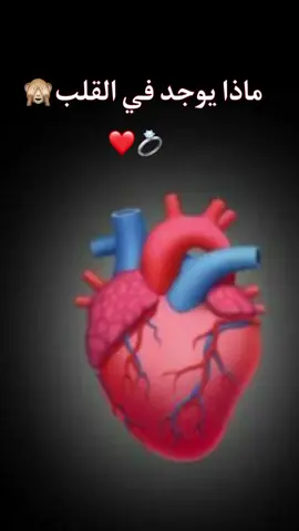 الرد على @aeil71120 #ماذا_يوجد_في_القلب #ارفعو_الفيديو_اكسبلور #fyp #fypシ #viral #viral #حرفE 