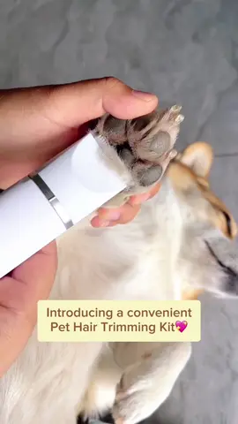 Trimming made easy and stress-free! With our 4-in-1 Pet Hair Trimmer, you can be your pet's personal stylist and save money✂️🐱🐶 Try them now~ #pethairclipper #pethairtrimmer4in1 #pethairtrimmer  #fyp #fypシ #ezpet #kitty #petlover #dog #dogsoftiktok #doglover #catlife #cattiktok #catlover #catoftiktok #cat #pet #viral #gato #animal #kitten #petproducts