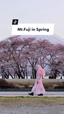 #mtfuji #kawaguchiko #fuji #fujisan #spring #springview #sakura #cherryblossom #acehnese #tokyo #japan #springinjapan #OOTD #ootdhijab #fyp #yamanashi #japantravel #japanview #japandaily #lifeinjapan #japanvibes #japanphotography #jepang #gunungfuji #gunungfujijepang 