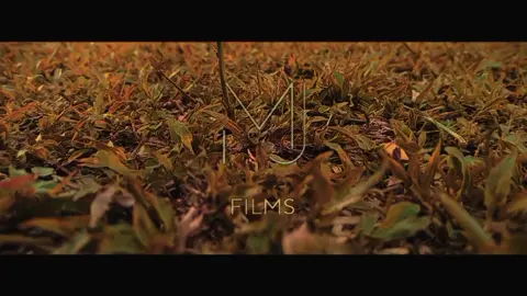 Inspired by Studio Ghibli Music ✨ #cinematography #cinematic #mjfilms #capcut #capcut #studioghibli #foryou #apexel18xzoom #trending 