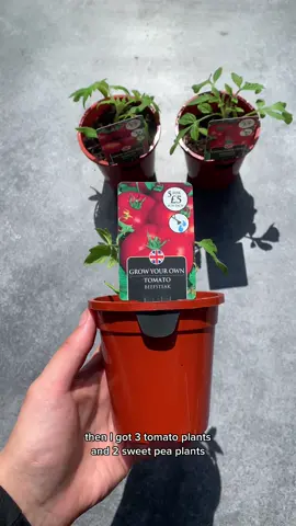 Garden Transformation Shopping🛒🪴 | B&M - plants #garden #gardenrenovation #gardentransformation #cleaning #spring #Summer #fyp 