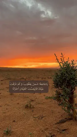 يُسِرُّ رَبَّنَا لَنَا مَا كَانَ أَعْيَانًا .. #تصميمي🎬 #تصويري📸 #علي_القرني #يارب_فرجك 