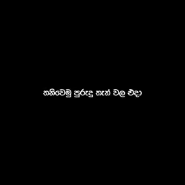 Request | Black Lyrics 🖤✨️  පාළුව රජකරනා 🖤💥 #blacklyrics🖤🍃 #blackscreen #sinhala #song #lyrics #video #fypシ #viral #feel #tiktok #video #kaviya_music01 #kaviya_talk01 
