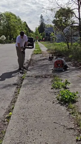 Quick Sidewalk Cleanup 😌 #satisfying #lawncare #cleaning 