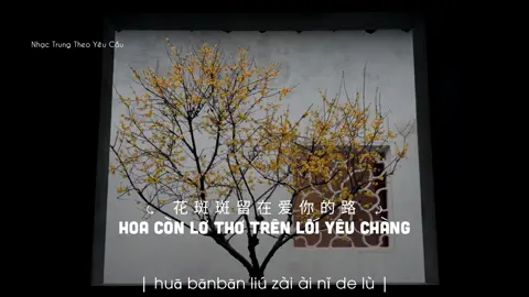 || Rượu đắng, bẻ liễu nay cách biệt Chẳng gió, chẳng trăng, chẳng có người.... || #daohoanac #đàohoanặc #桃花诺 #zianteam #zian_520 #nhactrungtheoyeucau #nhactrung #nhạctrungquốc #nhactrungquoc #musicchina #nhactrunghaynhat #nhactrungquoctamtrang #cophongkhuc #nhaccophong #cophong #douyin #douyin抖音 #douyin_china #xuhuong #thinhhanh #trending #fyp #nhactrunghay #ziansonder 