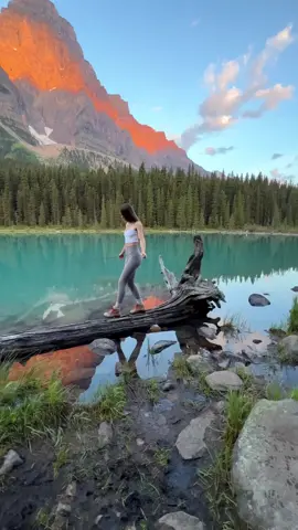 God Art #fyp #travel #traveling #alice_travelling #duet 