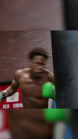 @realdevinhaney isn't playing any games 😤 #devinhaney #lomachenko #boxingtraining