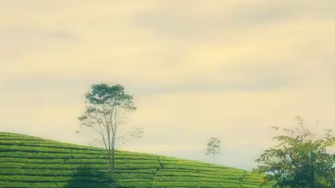 #kepadanoor #panjisakti #liriklagu #sadsong #fypシ #CapCut 