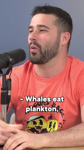 Shirts are available at shop.santagatostudios.com 