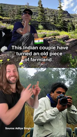 This couple in India did something truly incredible! #fyp #foryou #goodnews #wildlife #tigers #conservation 
