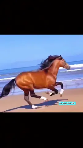 Nhạc nền hay làm video #khoâmnhạcquốctế #khoâmnhạcgiảitrí #khoâmnhạctoàncầu #bộsưutậpâmnhạc #khoâmnhạcchọnlọc 