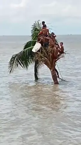 🇧🇩😥🇧🇩🇧🇩😥