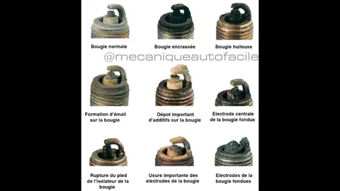 Voici comment vérifier l'état de votre bougie d'allumage 🤔⚠️ . . #auto #automobile #reparation #diagnostic #voiture #mécanique #mecanica #mecanique #mechanic #car #cars #mecanicodeltiktok #mecanicaautomotiva #mecanico #turbo #moteur #carengine #tendance #trend #ميكانيكي #ميكانيك_السيارات #ميكانيك #ميكانيكا #voitures #reparationvoiture #اصلاح #كهرباء_سيارات #السيارات #ترند #اصلاح_سيارات #الثروتل #wd40 #voitures #voyants #stop #abs #checkengine #enginecheck #anomalie #تشخيص #البخاخات #البوجي #المحرك #المحركات #صيانة#astuce #صيانة_سيارات #goviral #viralvideo #viral #fyp #fypage #carbrands #conseil #conseils #concessionnaire #garage_auto_car #garagiste #garagist #carparts #carpartsforsale #pieceauto #piecesauto #piecesautomobiles #entretien #mecanicien #mecanicienne #mecanicienauto #ميكانيكي_الديزل #bougie #bougieallumage #sparkplug #sparkplugs 