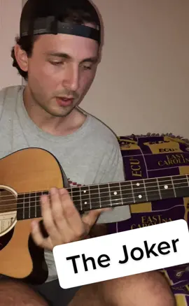 The Joker - Steve Miller Band #joker #stevemillerband #guitar #acoustic #solo #martinguitar #electric  #fyp #foryou 