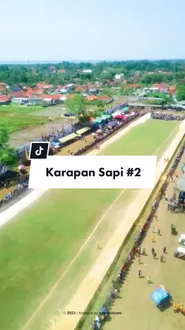 Sapi di “Karapan Sapi Madura” memiliki kemampuan untuk berlari kencang karena mereka telah melalui seleksi alami dan pemuliaan selektif selama bertahun-tahun. Info “P” Balap? #Madura #BangkalanMadura #KarapanSapi #KarapanSapiMadura 