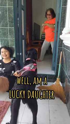 my furbabies #BLINK #BECKY & their #momyla #aspin #labrador #furbabies #dogsoftiktok #MomsofTikTok #mom #puppylove  #fyppppppppppppppppppppppp #beckyarmstrong #motherslove 