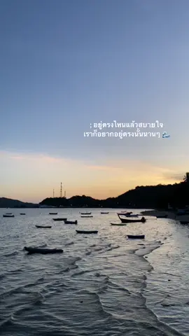 ที่ไหนสบายใจก็อยากอยู่นานๆแหละเนอะ 🌊#เธรดท้องฟ้า #เธรดความรู้สึก #เธรดเศร้าシ #เปิดการมองเห็น #เธรดเพลง #เธรดคลั่งน้ําตา 