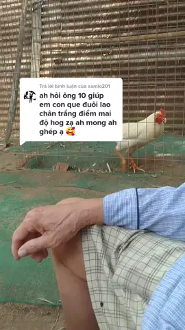 Trả lời @samlo201 những ae mà mình chưa tl ae được, ae thông cảm cho mình nha 