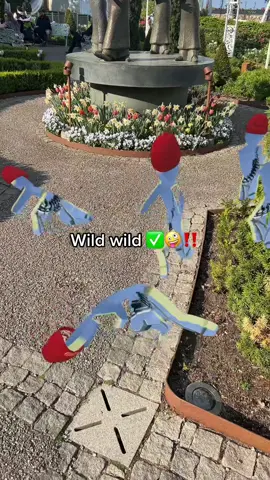 Wild wild 🤪‼️ #liseberg #göteborg #themepark #amusementpark #sweden #gothenburg #luna #lunaliseberg 