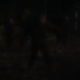 Dont be afraid to catch feels #fyp #monkey #edit