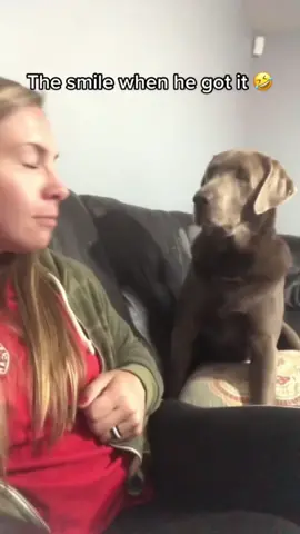 #pet #fypシ #dog  (via @Pubity ) 