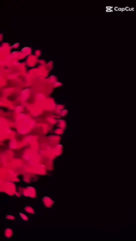 #CapCut مهدي 