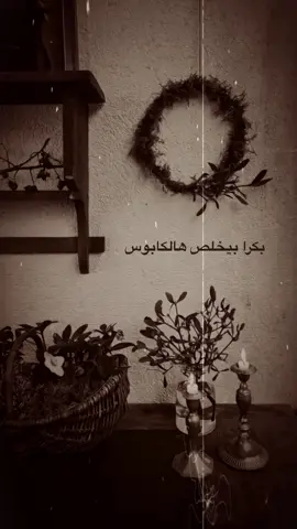 راح نتلاقي يوماً ما …🤎 . . . . . . . #چوليا_بطرس #چوليا #يوماً_ما #نتلاقي #photography #photo #photooftheday #you #foryou #foryoupage #music #jolia #julia #joliabotros 