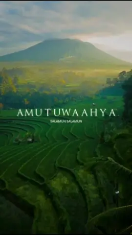 Amutu wa ahya   @myusuf_al_lampungi  @hidwii  #sholawat #liriksholawat #amutuwaahya 