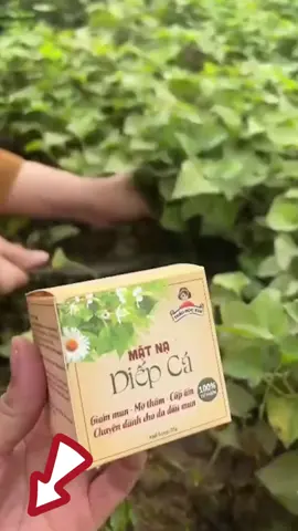 Mặt nạ diếp cá thảo mộc hỗ trợ trị mụn tha^m nám - Click mua hàng giảm giá tới 70% ở dưới nhé mọi người. #maskdiếpcá #trimuntritham #trending