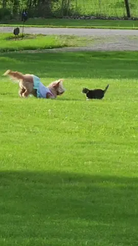 French fry & Waffles ❤️ #bestfriend 