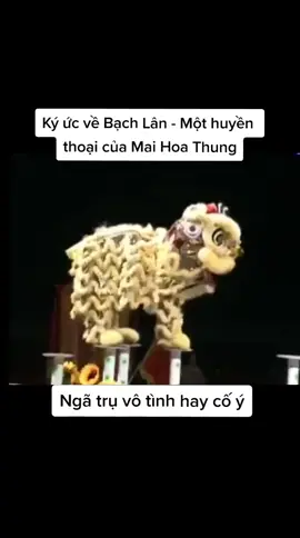Ký ức về Bạch Lân - Một huyền thoại của Mai Hoa Thung... #landen #mualan #lansurong #mualansurong #mualansurongvietnam #mualansurongtrungquoc 