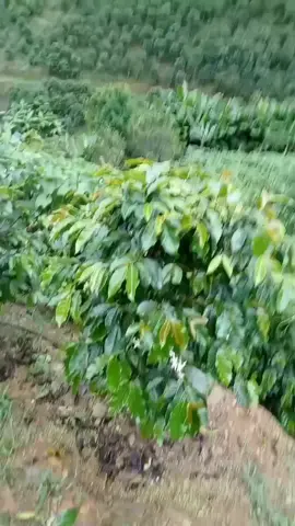 hành trình tìm nhà to bự... let go...😉