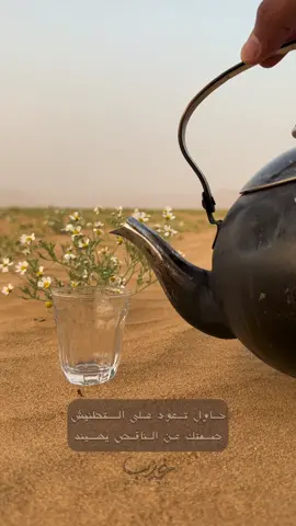 حاول تعود على التطنيش .. #تصميمي🎬 #تصويري📸 #التطنيش_علاج_كل_شي #التجاهل_فن_لا_يتقنه_الا_الملووك 