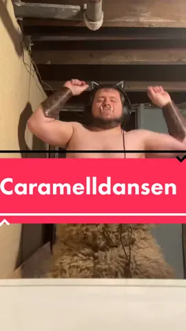 I put on the cat ears #caramelldansen #oc #originalcharacter #cosplay #dndtok #himbo #himbosrights