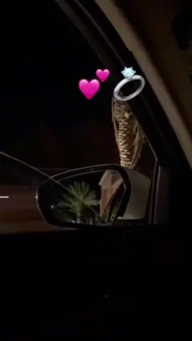 #algeriesong #amoureux❤️❤️ #sentiment #raialgerien🧿🖐️🤤🎶🎶 #fypシ #viralvideo #houby ❤️🌹