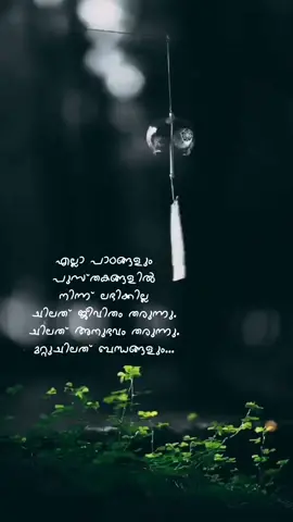 #whatsappstatus #malayalamquotes #uae #foryou #happiness #life #ജീവിതം 