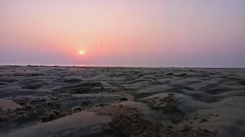 #CapCut #foryoupage #vairal_video #trendingvideo #onthisday #fyp #trending 