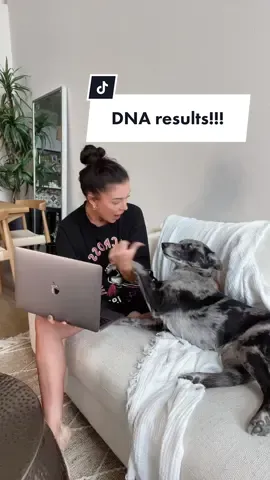 I feel so much closer to Momma knowing more about her ancestry and genetic health - especially her 1 copy of DM to flag to her vet. And seeing so many close family members warms my heart oh-so much! Big props to @Wisdom Panel  for giving me such crucial info about my girl! Discover more about your pet with my code HOLLY20 for 20% off at checkout. #wisdompanelpartner #dogsoftiktok 