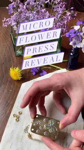 Hand fabricated in Vermont, available for preorder in my shop ✨☘️🌸 #fairycore #flowerpressing #cottagecore #miniature #plantfriends 