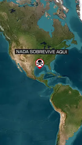 A Zona morta do golfo do México #mapas #geografia