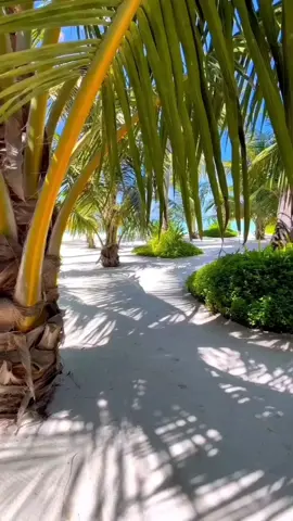 Calma 😌🏝️#pedrocapo #farruko #viral #fyp #music #parati #musica #latinmusic #calma #playa #relax #relajante #vamosalaplaya #latinpop #remix 