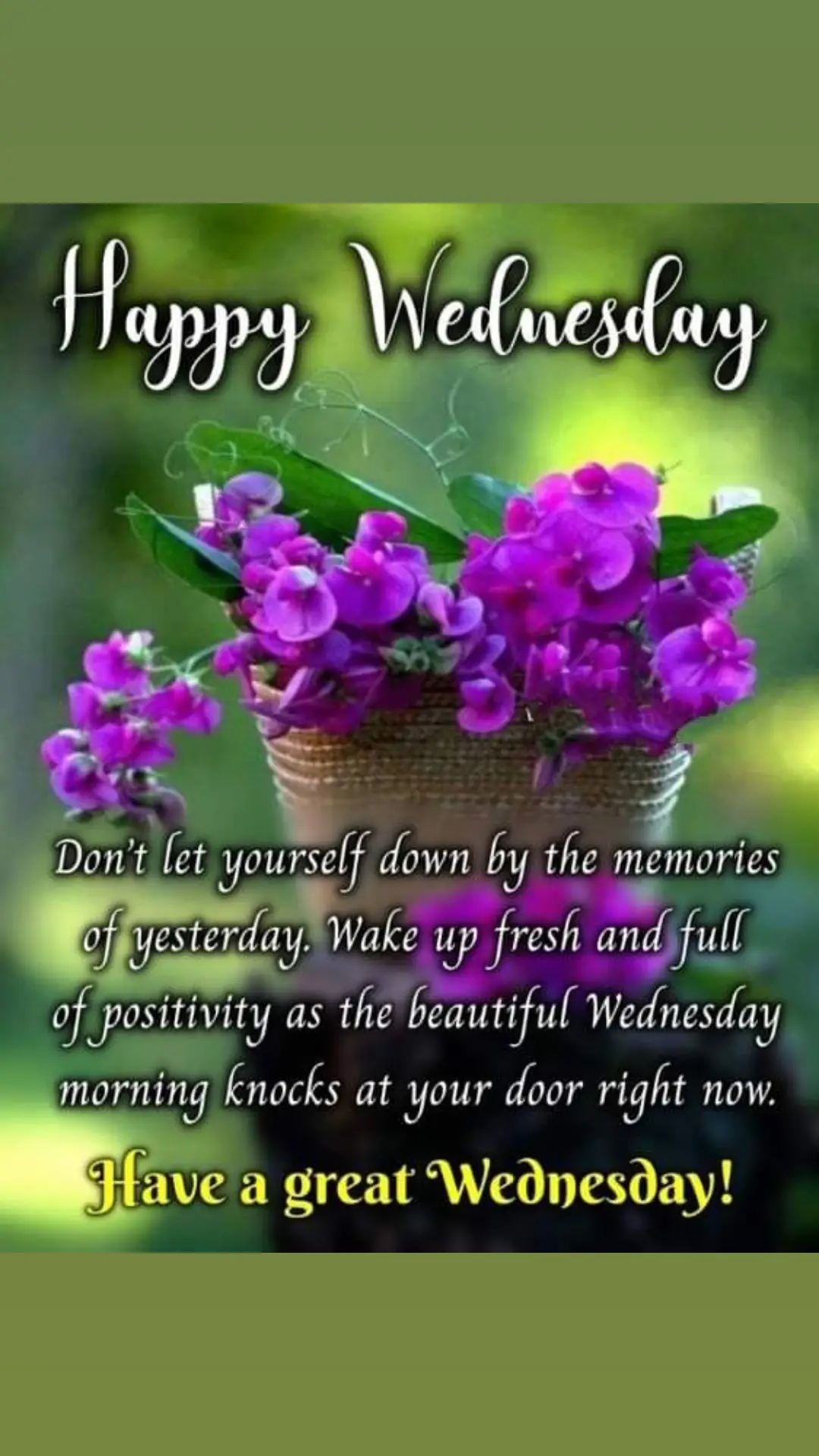 Good morning dear friends💐Warm wishes to you and yours for a Blessed Wednesday with abundance of Grace and Peace🙏Much Love 💛 #wednesday #iamgrateful #thankful #viralvideo #fypシ゚viral #fyp #fypage #fypspotted #foryoupage 