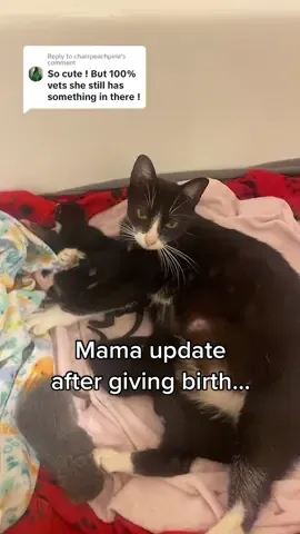 Replying to @charrpeachpirie Mama is doing great! This isnt my first rodeo 😆 i appreciate everyone caring about her and her family!!