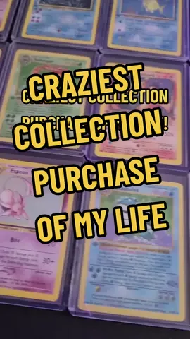 Never thought in my while life I would have the opportunity to buy this 1st Edition Pokémon Card collection...someone pinch me #pokemon1stedition #pokemoncards #rarepokemoncards #pokemoncommunity #pokemoncollection #charizard1stedition 