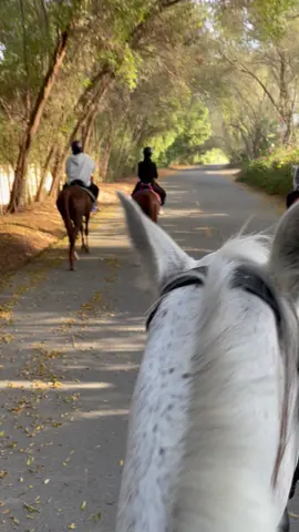 #fyp #foryou #PepsiKickOffShow #dxbhorseriding #viral #wadialamardi #horse #stabledubai #dubai #dubai #dubai #الشعب_الصيني_ماله_حل😂😂 #desert 