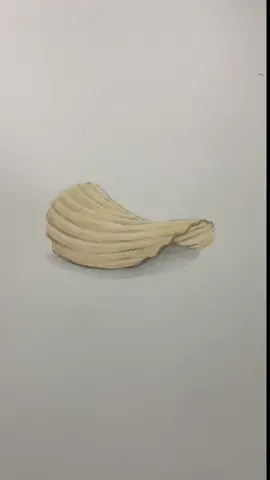 How to draw a wavy potato chip!  It was an interesting request, maybe they are working on a school project or something.  #potatochips #drawingtutorial #artclass #drawingrequests  #markers 